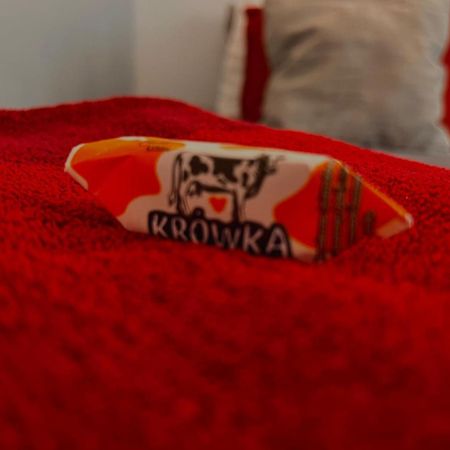 Amazing 1 Room Condo Warszawa Center, Sauna 外观 照片