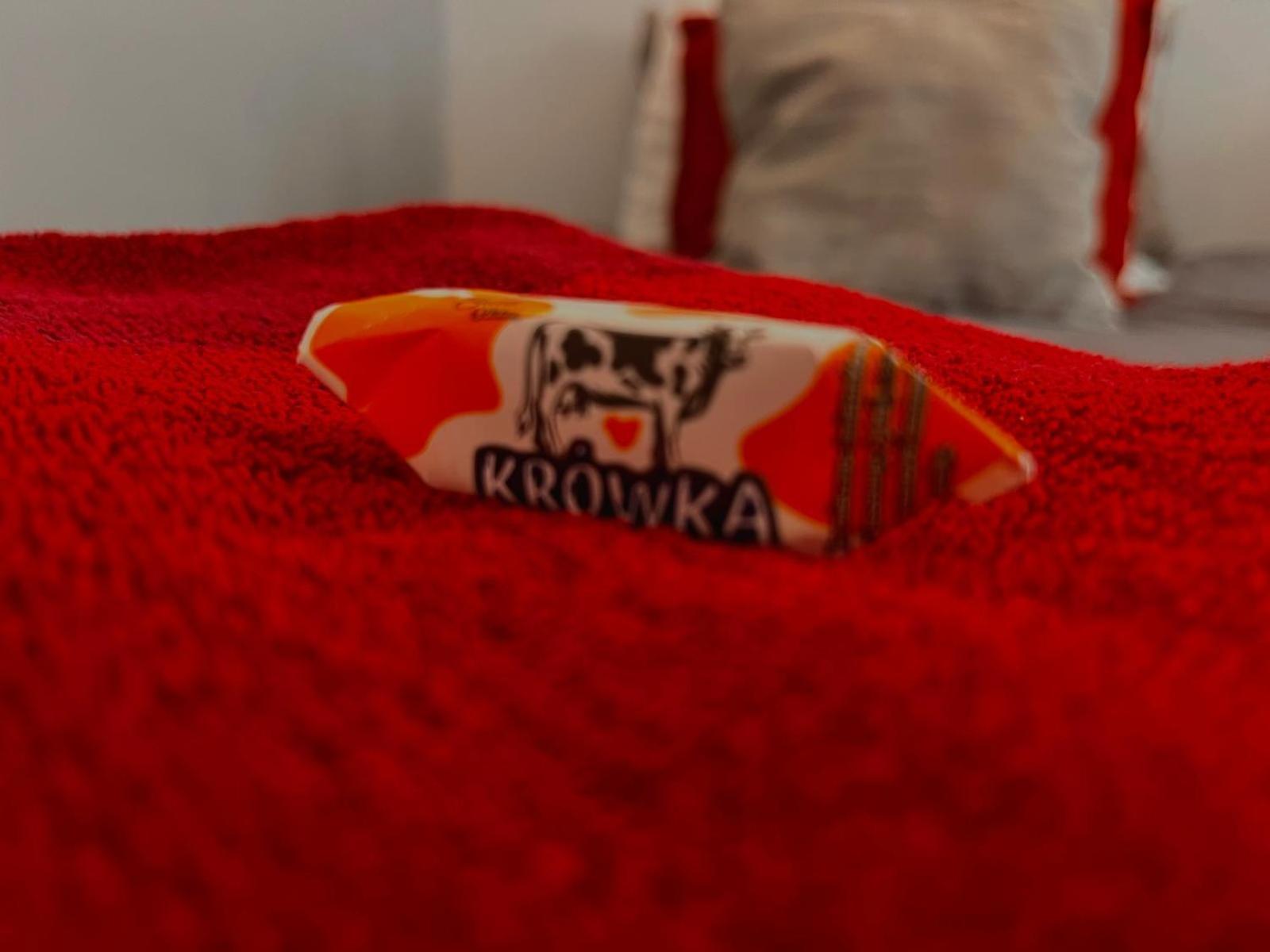 Amazing 1 Room Condo Warszawa Center, Sauna 外观 照片